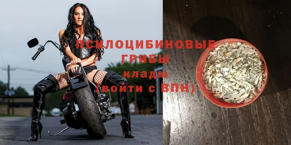 таблы Сатка