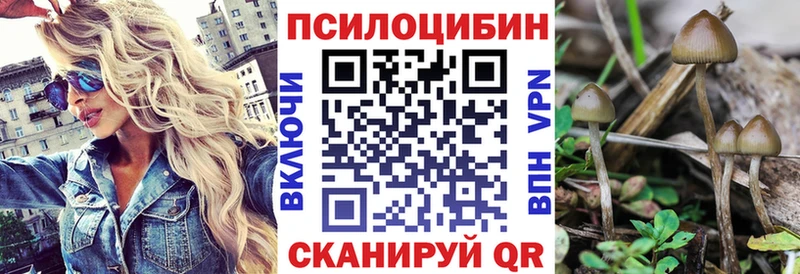 Галлюциногенные грибы прущие грибы купить закладку Боровск